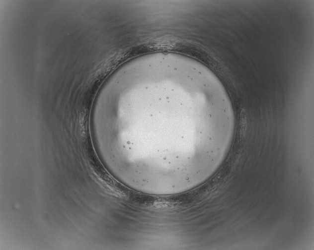 X0000076060641200610201949