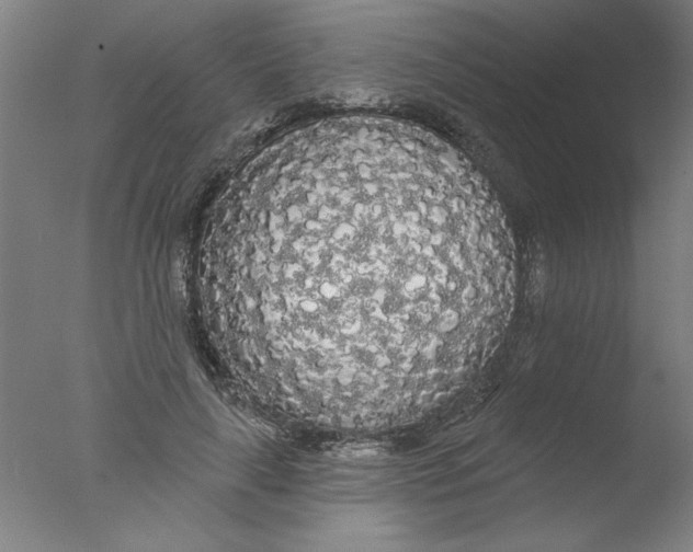 X0000076060643200610201949