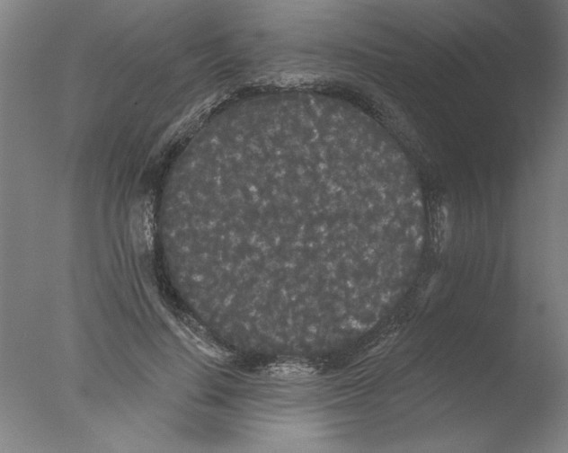 X0000076060644200610201949