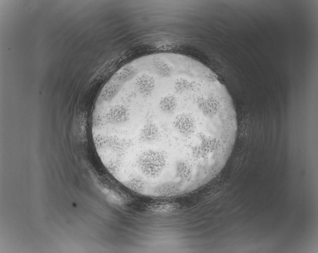 X0000076060646200610201949