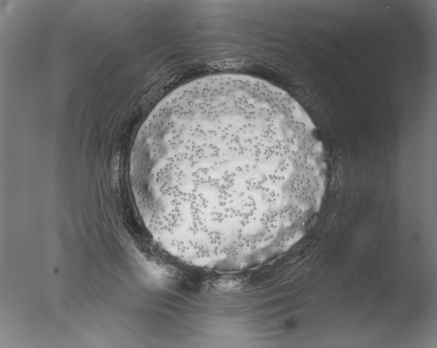 X0000076060647200610201949