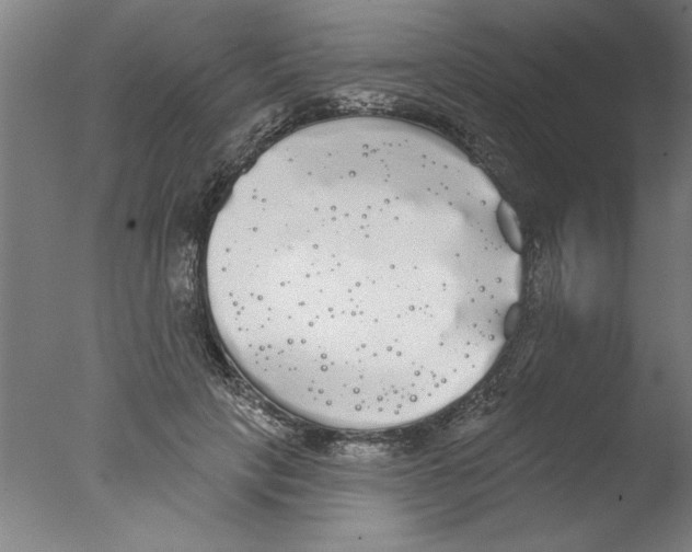 X0000076060649200610201949