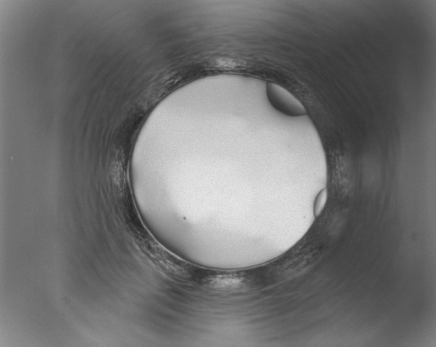 X0000076060651200610201949