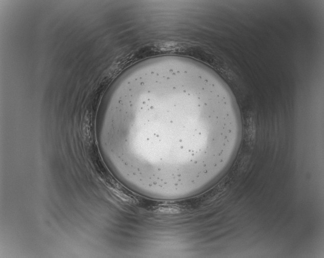 X0000076060653200610201949