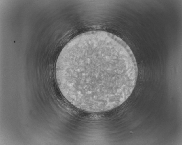 X0000076060656200610201949