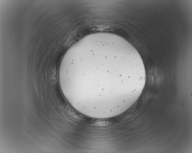 X0000076060657200610201949