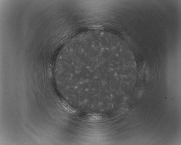 X0000076060658200610201949