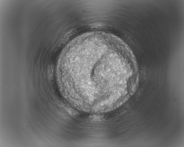 X0000076060660200610201949