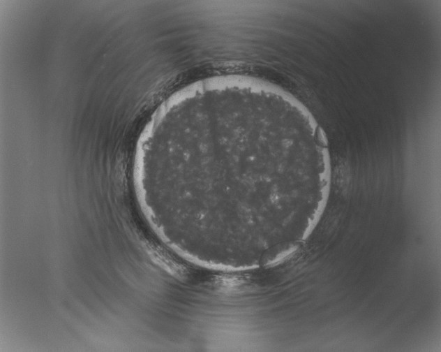 X0000076060662200610201949