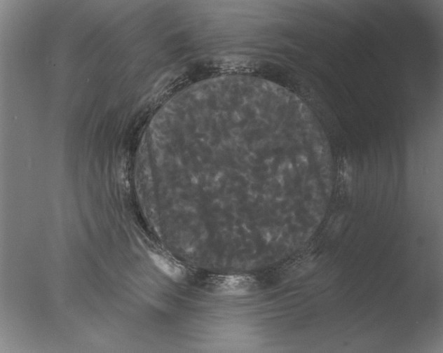 X0000076060663200610201949