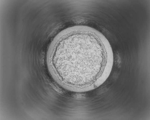 X0000076060664200610201949