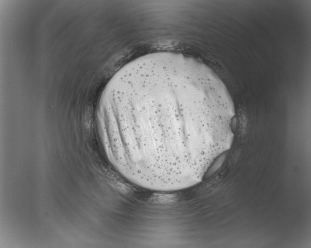 X0000076060665200610201949