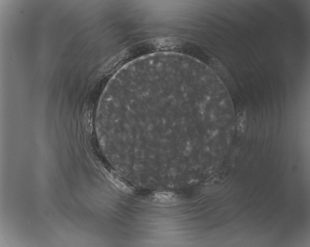 X0000076060666200610201949