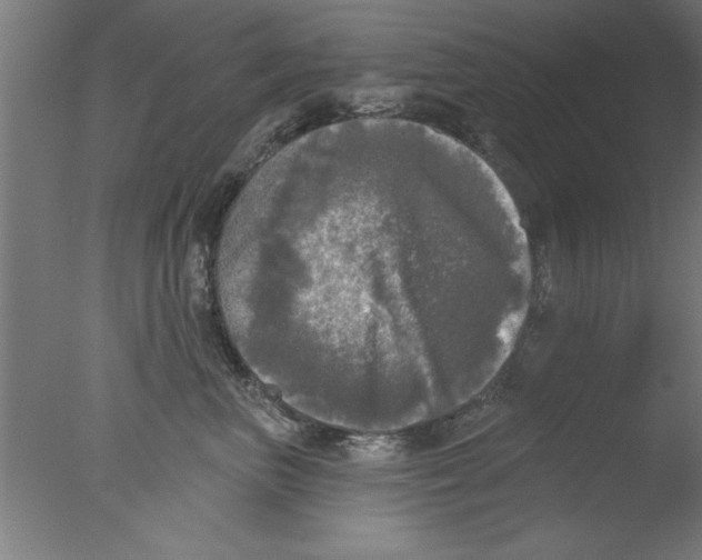 X0000076060667200610201949