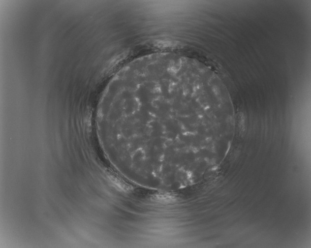 X0000076060668200610201949