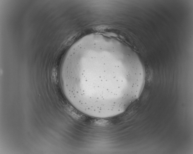 X0000076060669200610201949