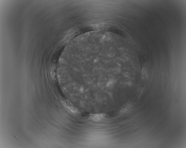 X0000076060671200610201949