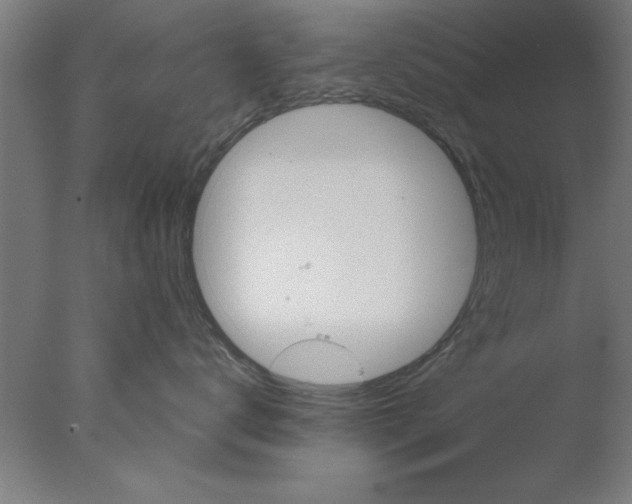 X0000076060672200610201949