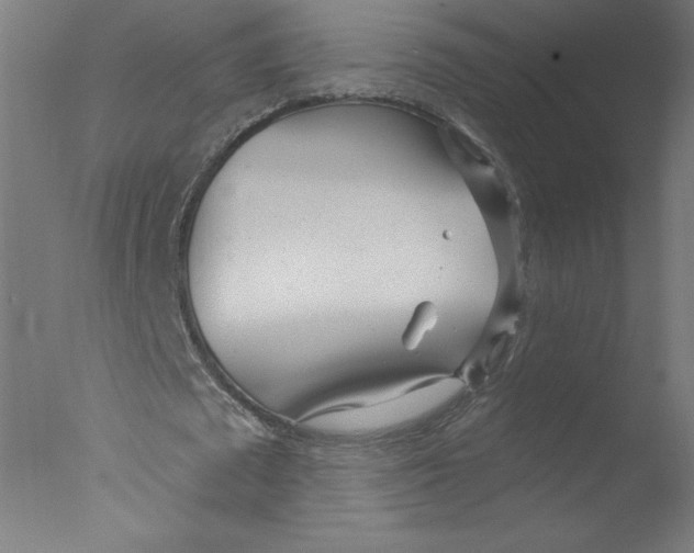 X0000076060673200610201949