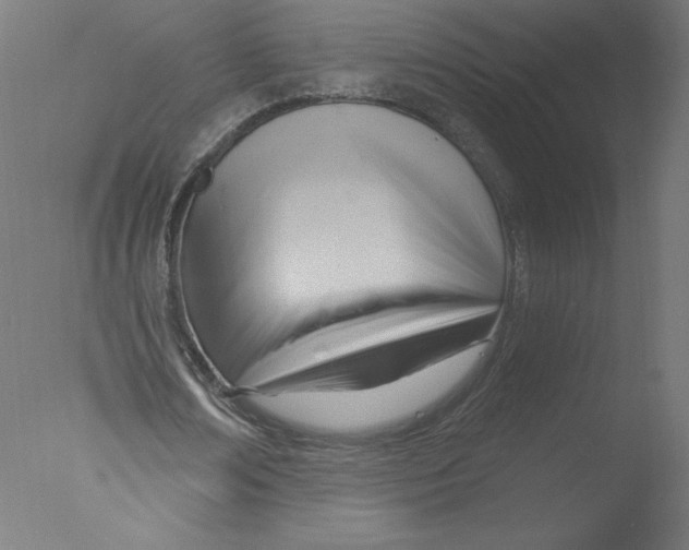 X0000076060674200610201949