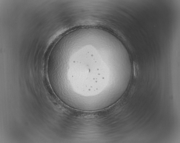 X0000076060675200610201949