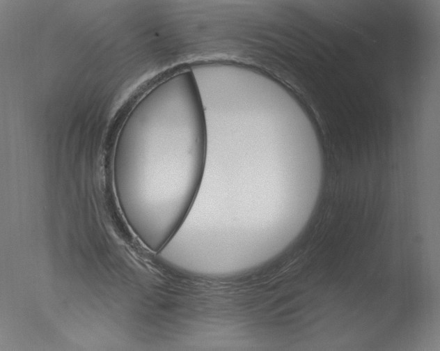 X0000076060676200610201949