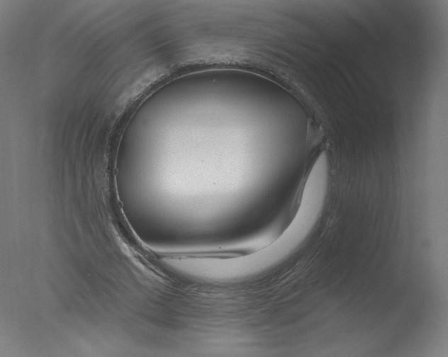 X0000076060677200610201949