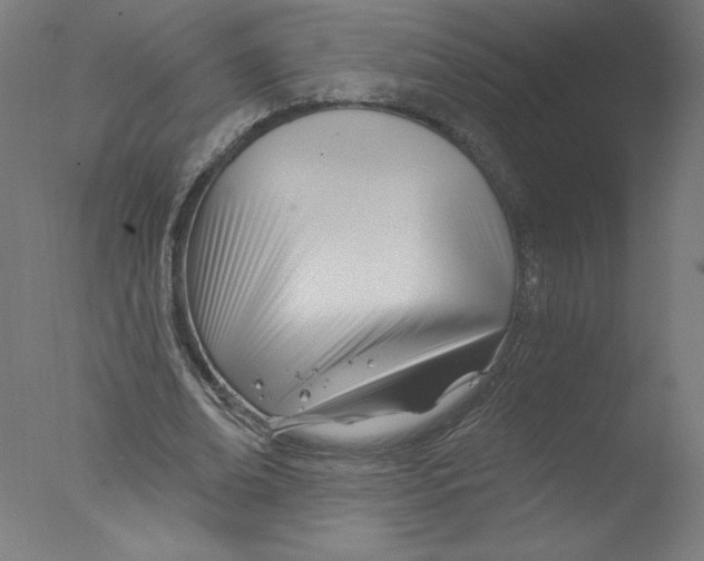 X0000076060678200610201949