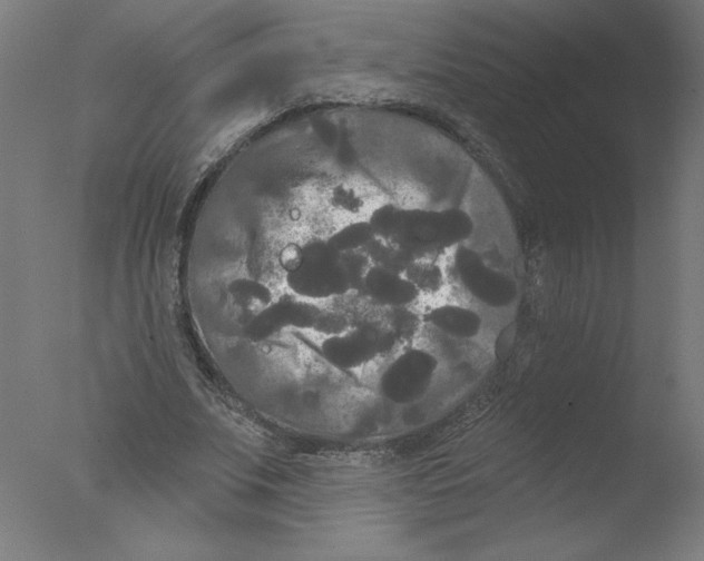 X0000076060679200610201949