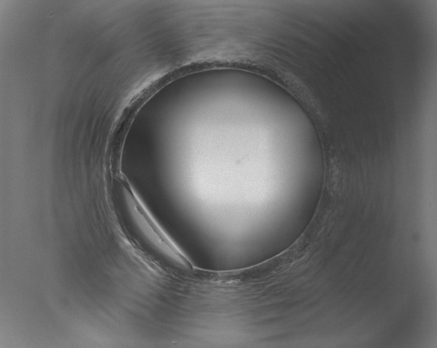 X0000076060680200610201949