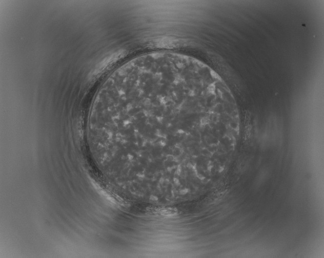 X0000076060683200610201949