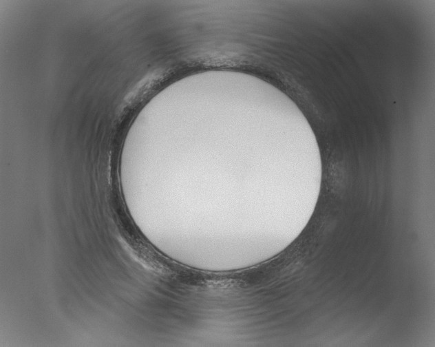 X0000076060686200610201948