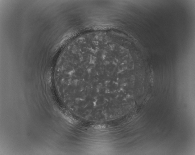 X0000076060687200610201948