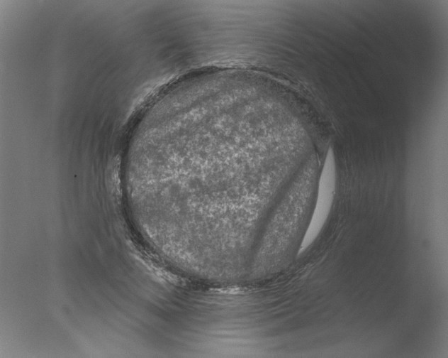 X0000076060688200610201948