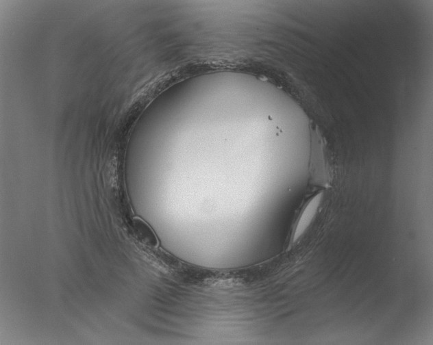 X0000076060689200610201948