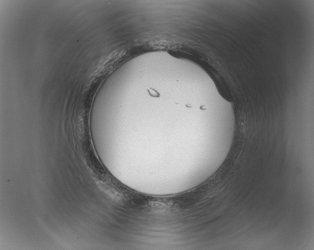 X0000076060690200610201948