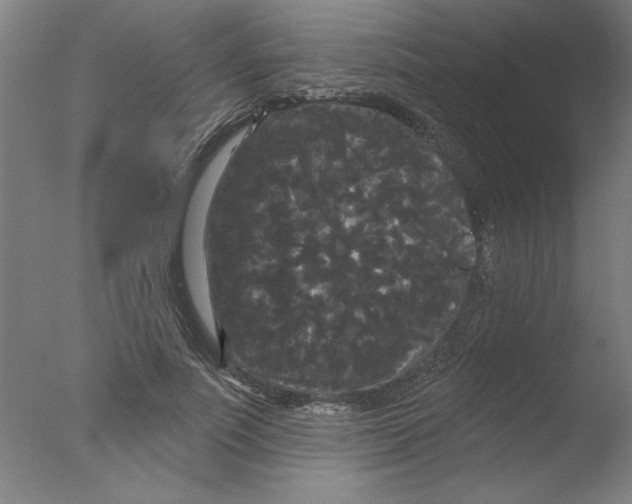 X0000076060691200610201948