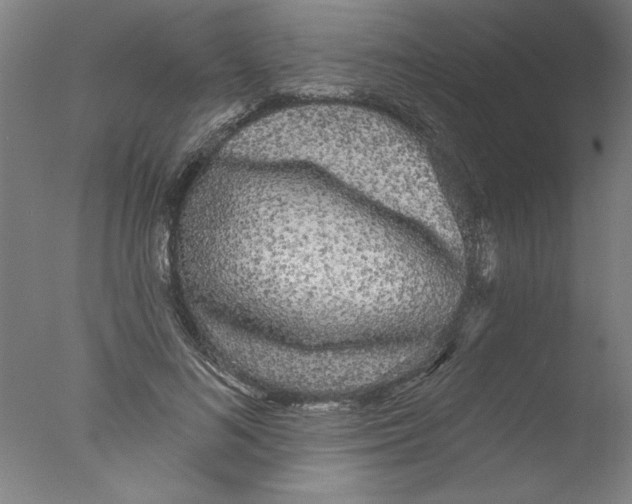 X0000076060692200610201948