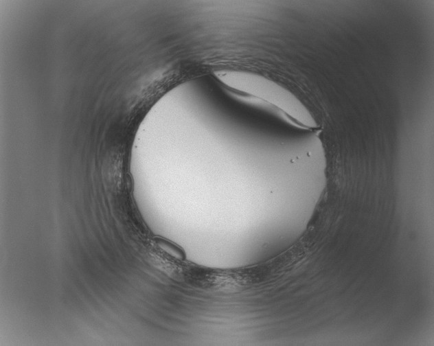 X0000076060697200610201948