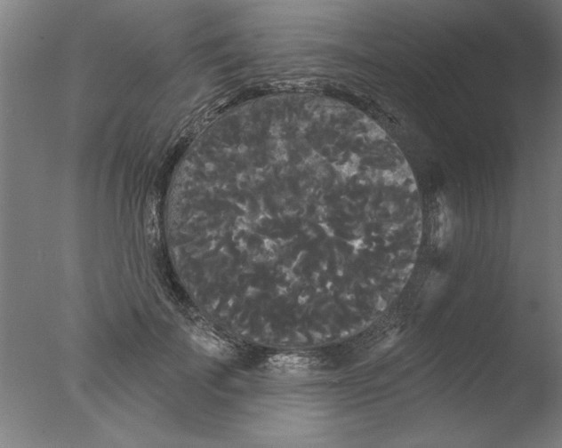 X0000076060699200610201948