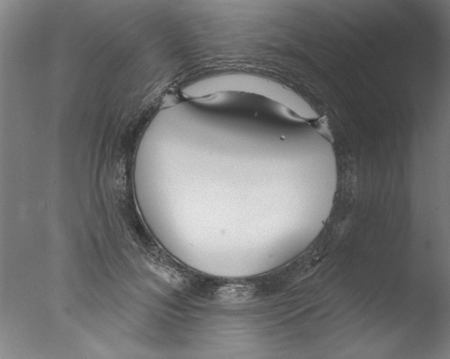 X0000076060700200610201948