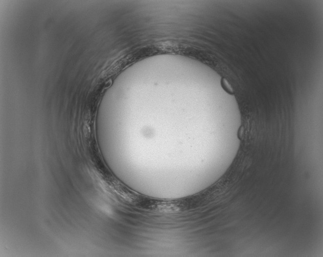 X0000076060702200610201948