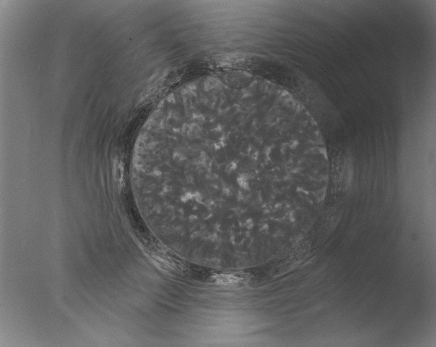 X0000076060703200610201948