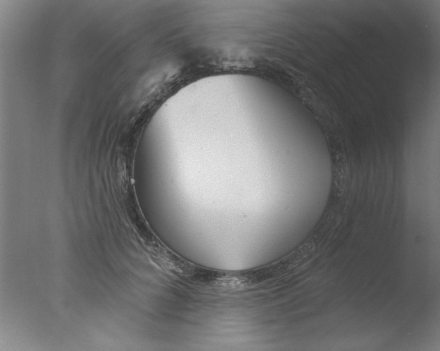 X0000076060704200610201948