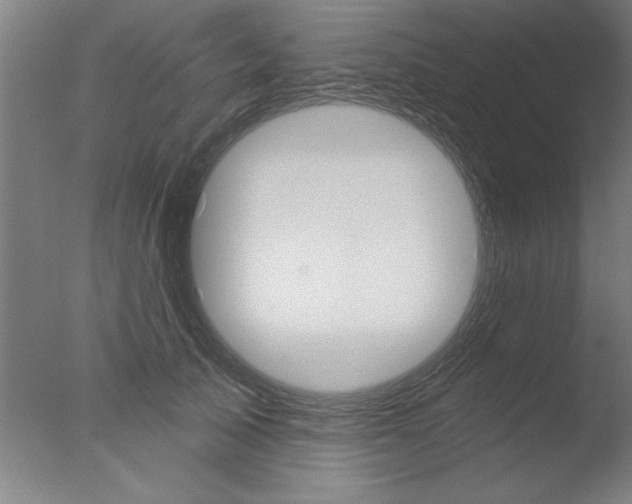 X0000076060705200610201948