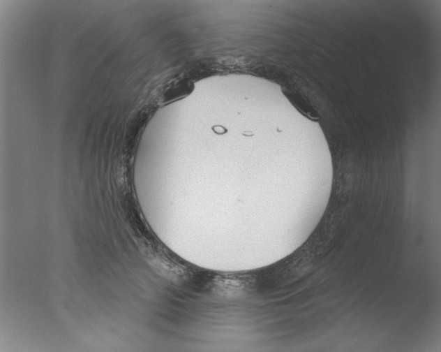 X0000076060706200610201948