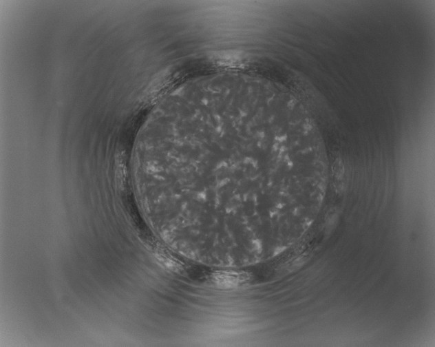 X0000076060707200610201948