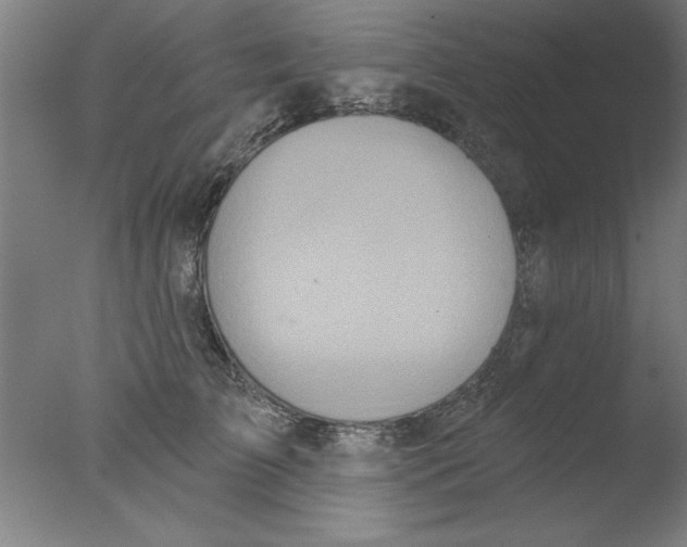 X0000076060709200610201948