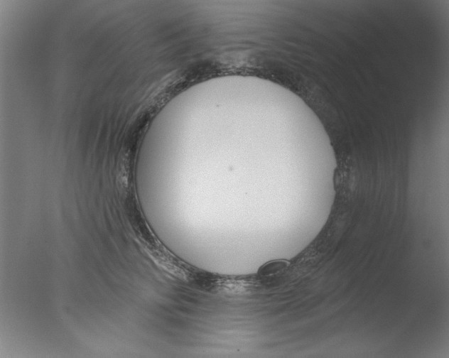 X0000076060710200610201948