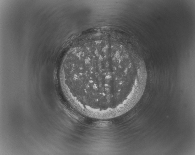 X0000076060711200610201948